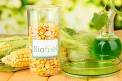 Rhosygadfa biofuel availability