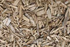 biomass boilers Rhosygadfa